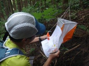 ロゲイニング中