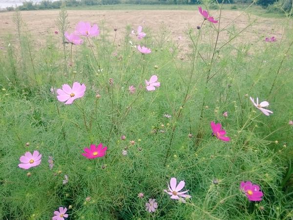 レース当日は既に冬の気配かも