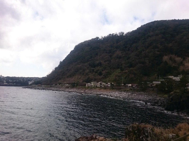 海岸線に急に現れる急斜面。萌え地形。なぜか気になる人は伊豆半島へぜひ。