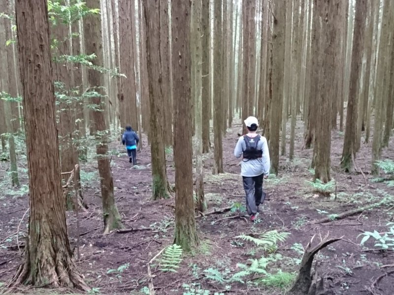 静岡ナビゲーション練習会の企画運営を行いました